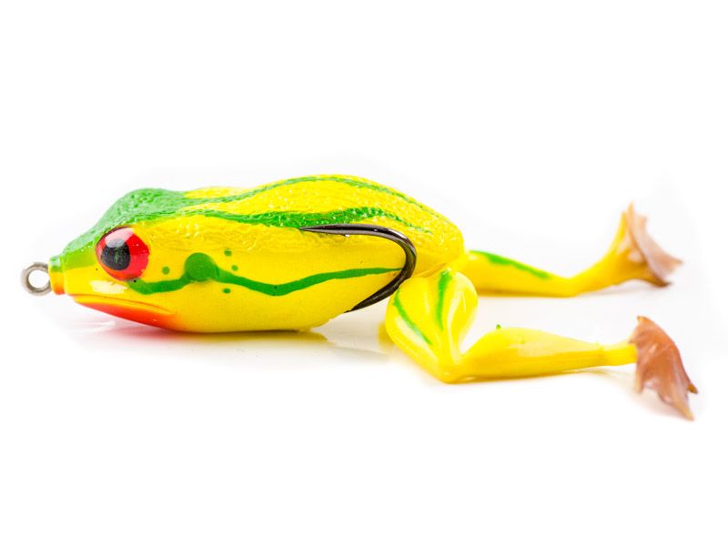 Molix Frog