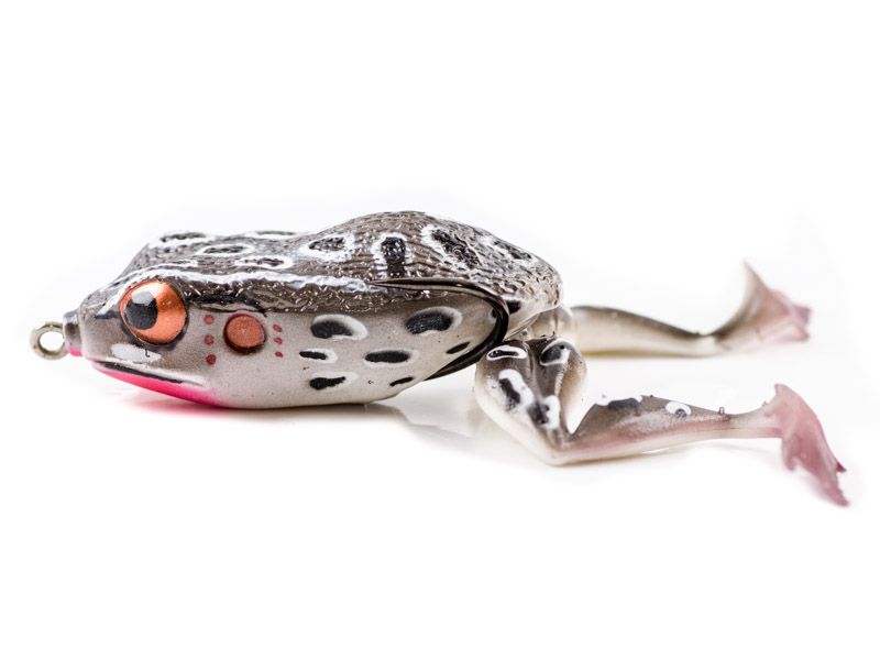 Molix Frog