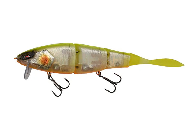 Galapagos Grace 210L