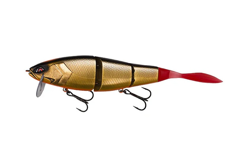 Galapagos Grace 210L