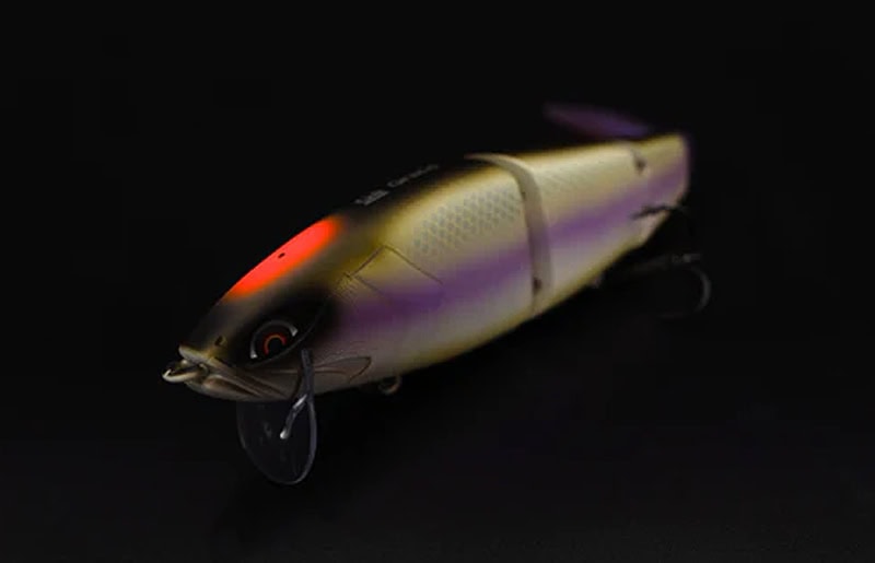 Galapagos Grace 210L