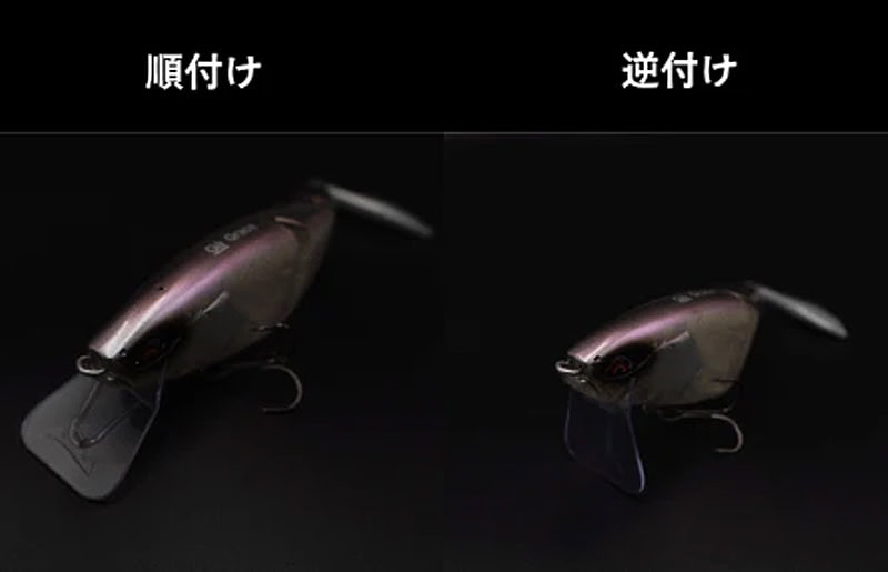 Galapagos Grace 210L