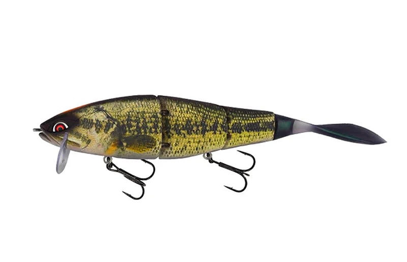 Galapagos Grace 210L