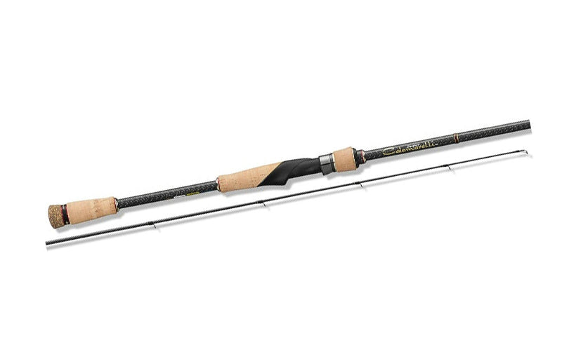 Graphiteleader '25 Super Calamaretti AT