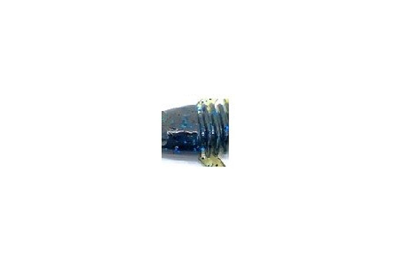 HMKL Alive Fat Coby Non Salt 2.5"