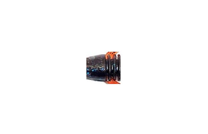 HMKL Alive Fat Coby Non Salt 2.5"