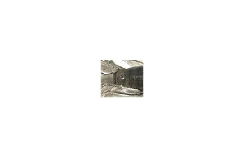 HMKL Alive Fat Coby Non Salt 2.5"