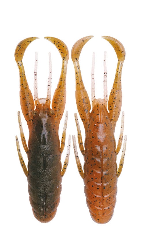 Glissade rapide BottomUp