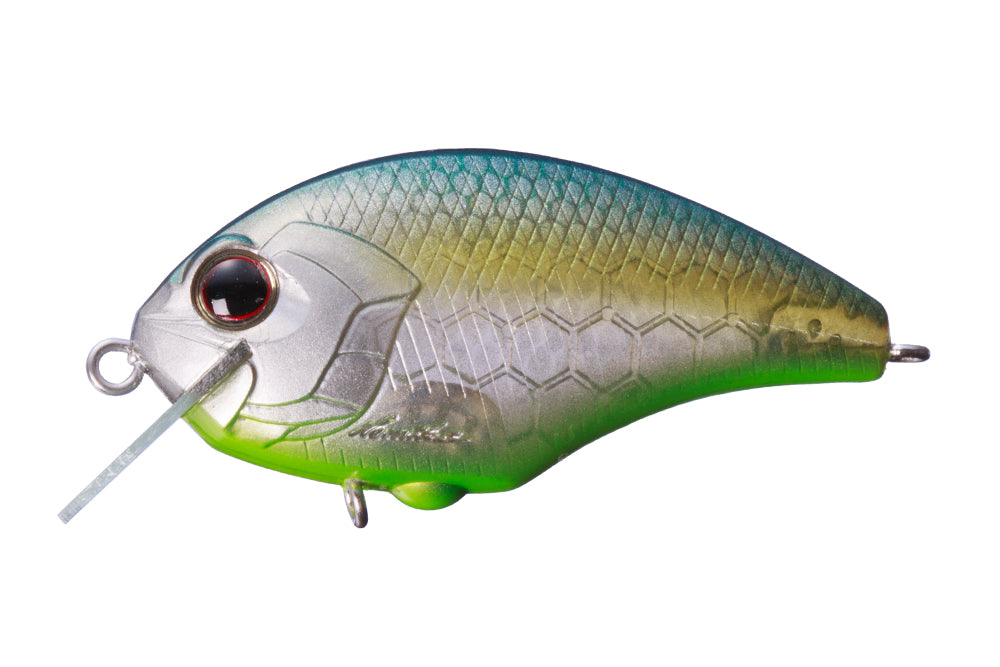 OSP Tiny Blitz
