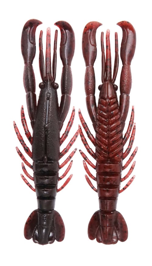 Crevettes BottomUp Hurry 3"