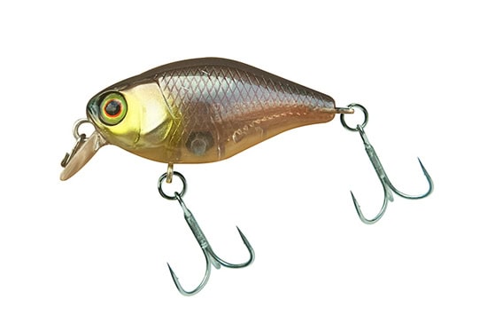 Jackall Diving Chubby 38F