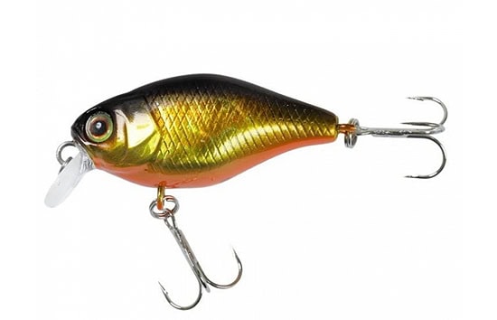 Jackall DD Chubby 38F