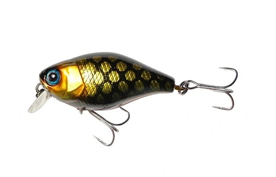 Jackall DD Chubby 38F