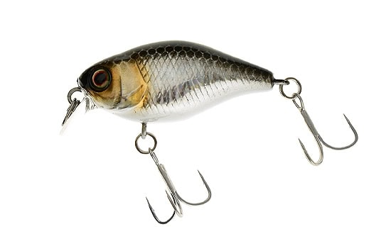 Jackall DD Chubby 38F