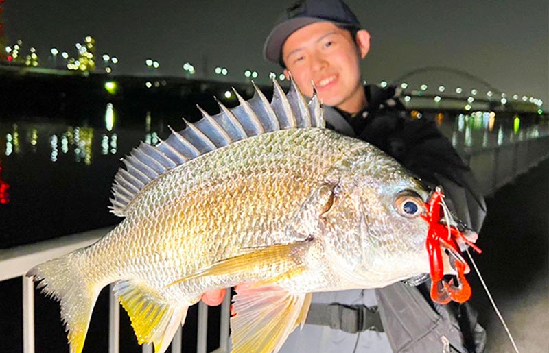 Jackall ChunkCraw 2,8" SW