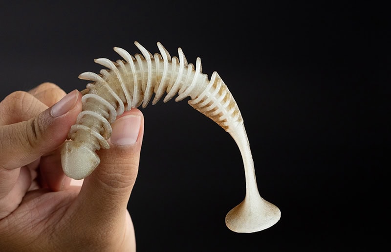 Jackall DeadSlowler Full Contact 5.5"