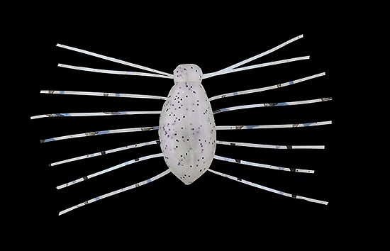 Jackall a besoin d'insectes