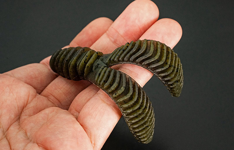 Lapin à côtes Jackall 3,8"