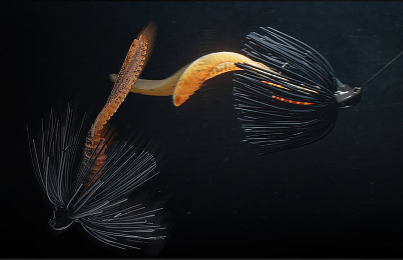 Lapin à côtes Jackall 3,8"