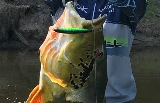 Jackall Squad Minnow 95SP