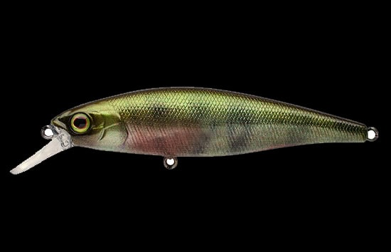 Jackall Squad Minnow 80SP