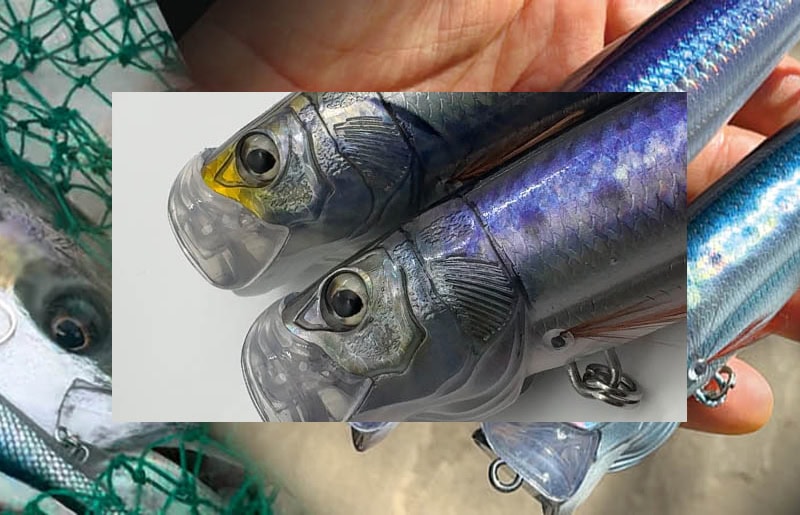 Litte Jack Bilhouette 160