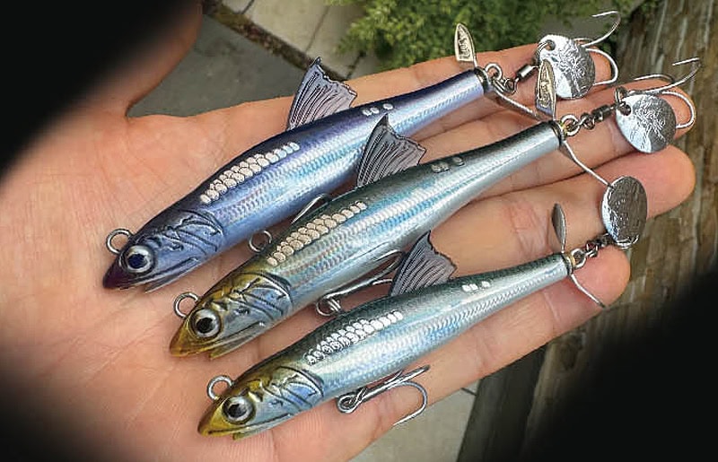 Little Jack Segrock 78