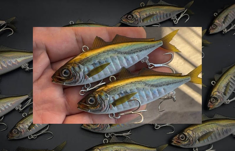 Little Jack Zeigos 55