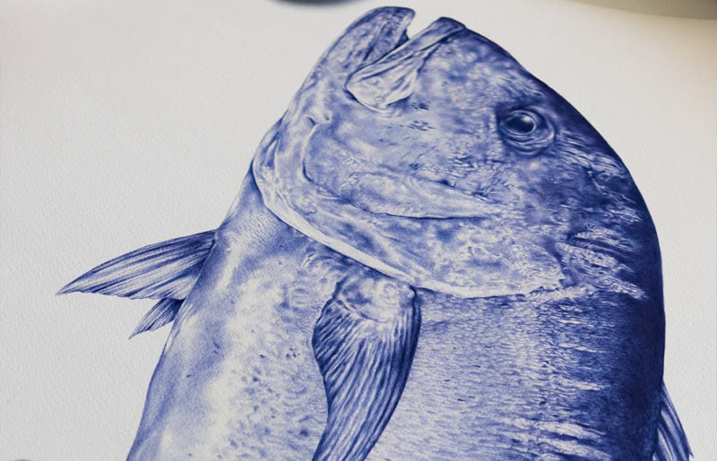 Malosi Fine Art Print - Giant Trevally