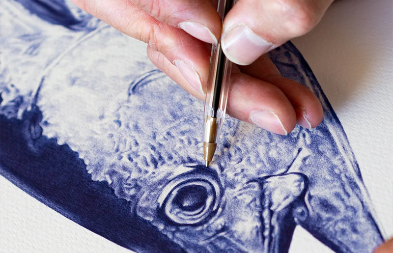 Malosi Fine Art Print - Longtail Tuna