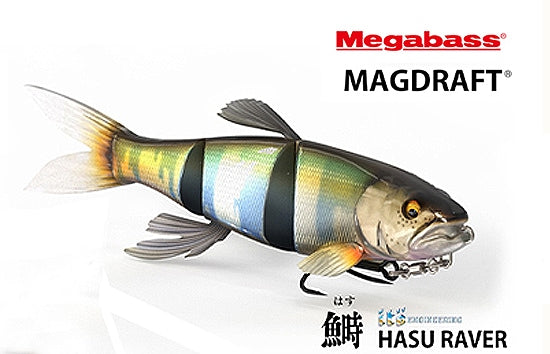 Megabass Magdraft Hasu Raver