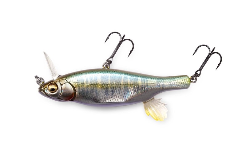 Megabass Anthrax
