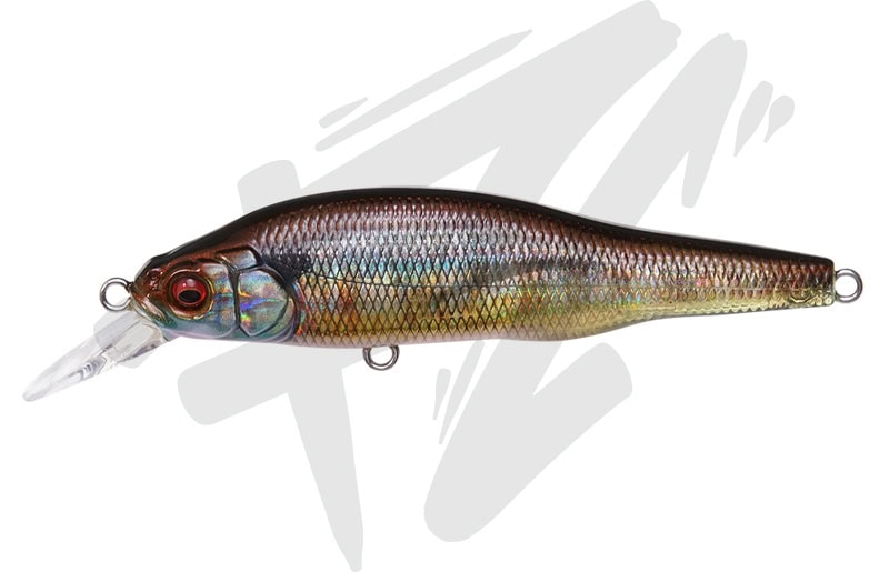 Megabass X-80 Trick Darter