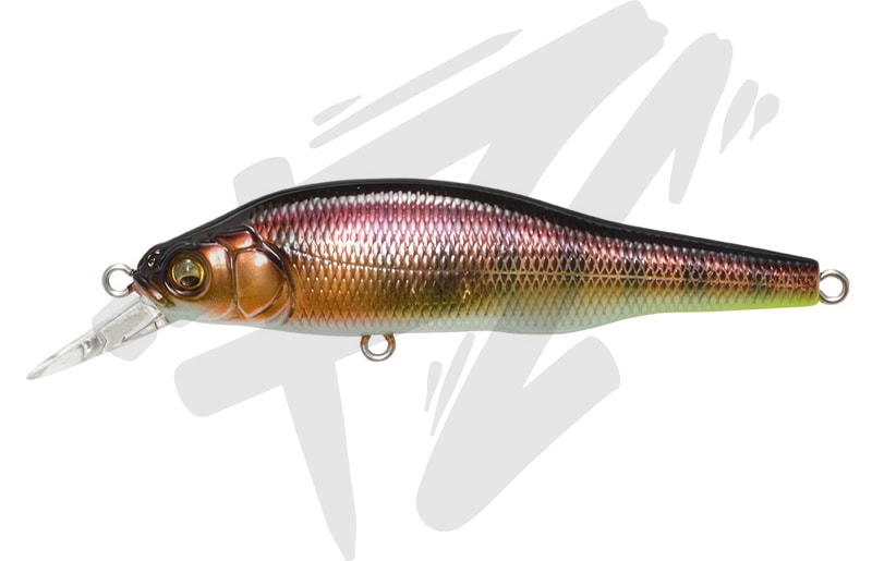 Megabass X-80 Trick Darter