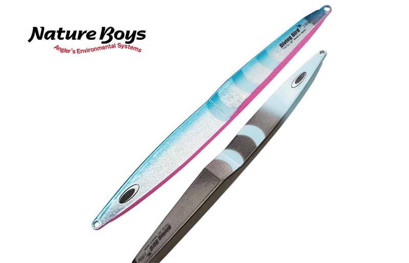 Nature Boys Diving Bird