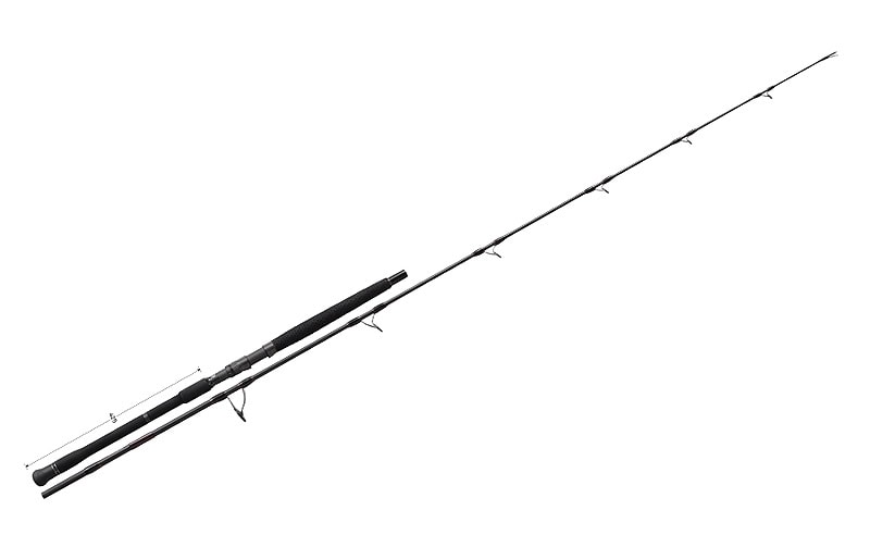 NS BlackHole Boca Boron