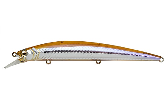 Raid Japon Niveau Minnow