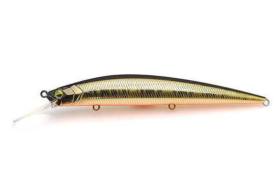 Raid Japon Niveau Minnow Plus