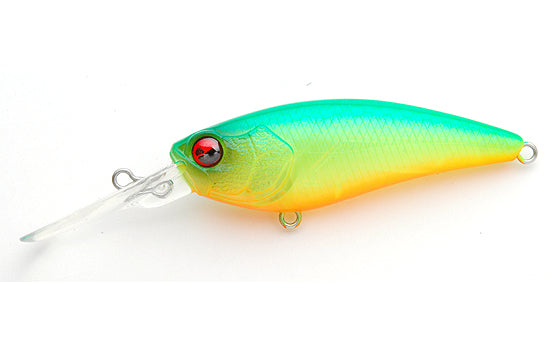 Raid Japon Niveau Shad