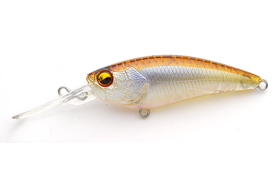 Raid Japon Niveau Shad