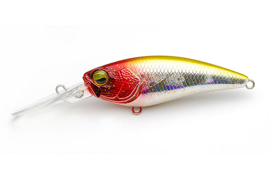 Raid Japon Niveau Shad