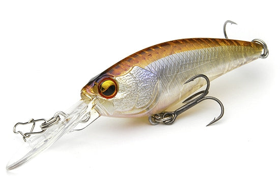 Raid Japon Niveau Shad