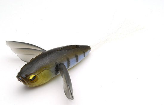 Raid Japon Micro Dodge Grand