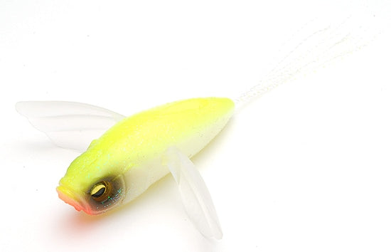 Raid Japon Micro Dodge Grand