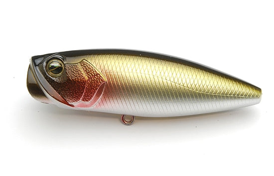 Raid Japon Deux côtés