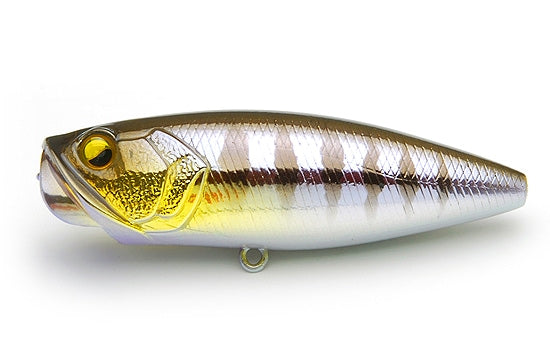 Raid Japon Deux côtés