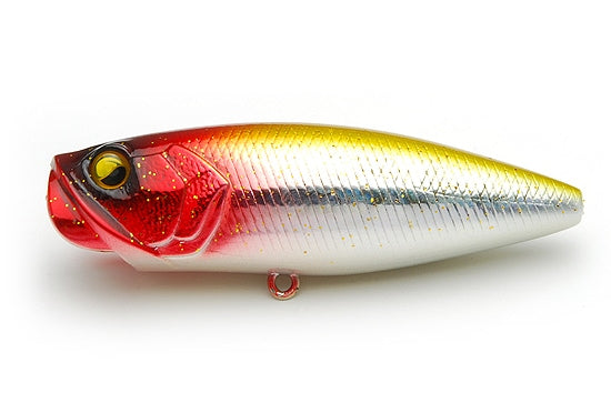 Raid Japon Deux côtés