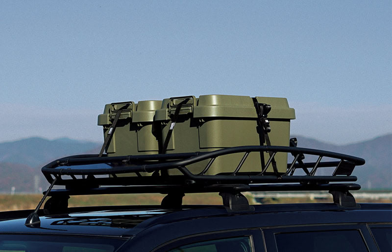 Risu Japan Trunk CarGo Roof Carrier Belt