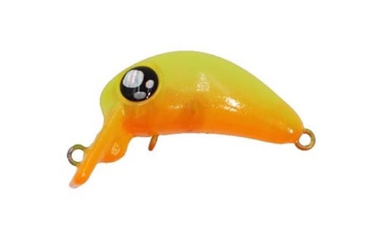 Rob Lure Chelsea F