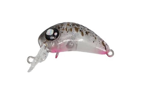 Rob Lure Chelsea F
